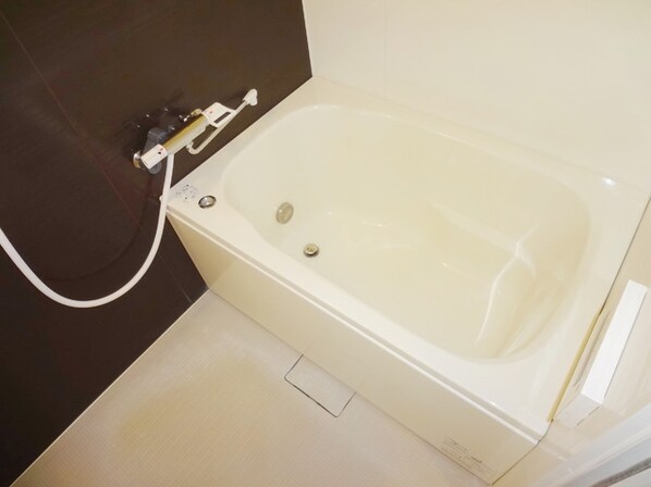 ウェルネスLの物件内観写真